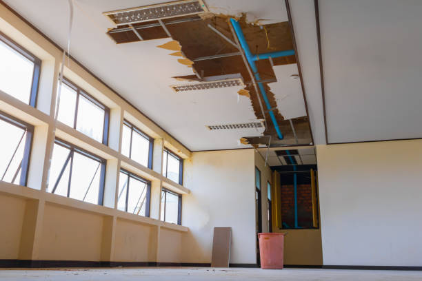 Best Flooded house restoration  in Waupun, WI