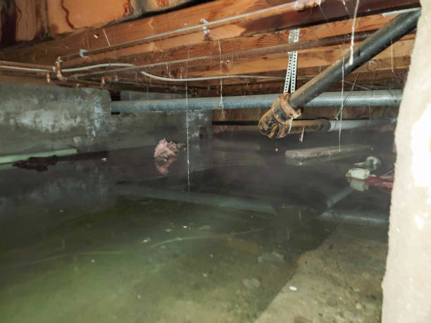 Best Emergency water damage restoration  in Waupun, WI