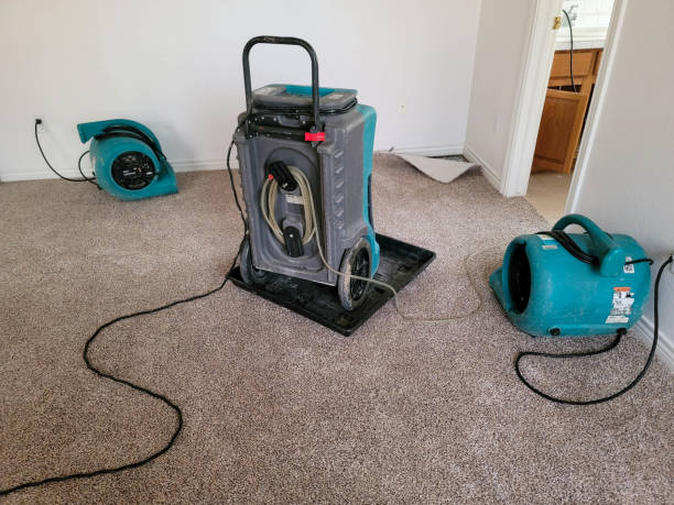 Best Water damage cleanup near me  in Waupun, WI