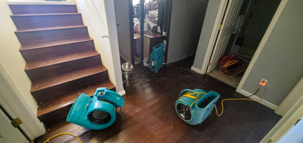 Best Water damage mitigation services  in Waupun, WI