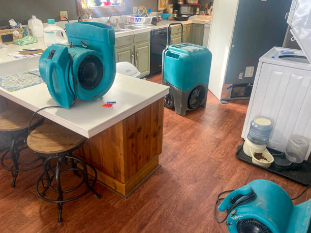 Best Residential water damage restoration  in Waupun, WI