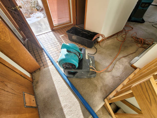 Best Water damage restoration near me  in Waupun, WI