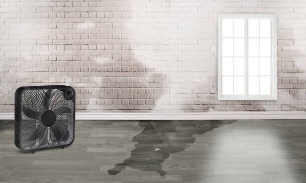 Waupun, WI Water damage restoration Company