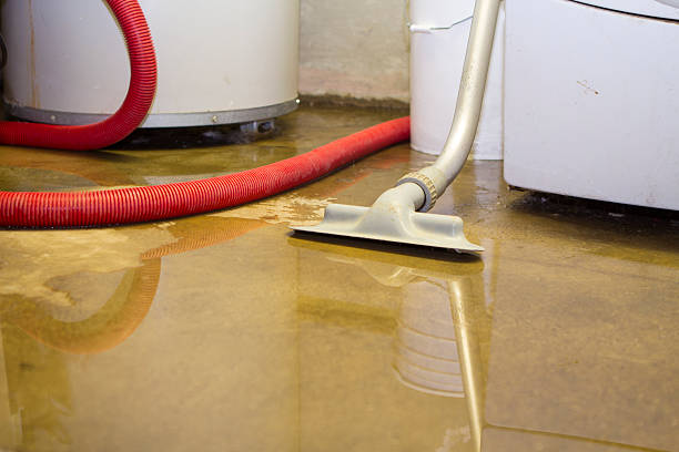 Best Carpet water damage restoration  in Waupun, WI