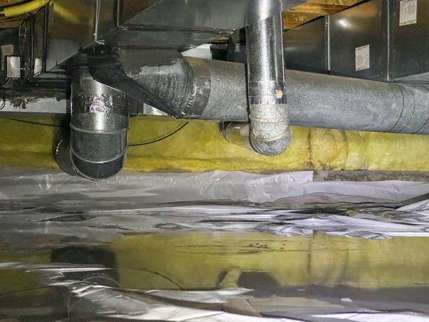 Best Water damage restoration mold remediation  in Waupun, WI