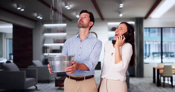 Best Flood damage cleanup  in Waupun, WI